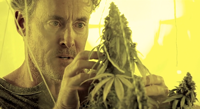 Фильмы про марихуану списки ареал произрастания конопли
